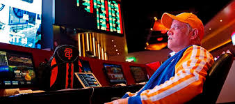 Вход на официальный сайт Casino Roy Spins